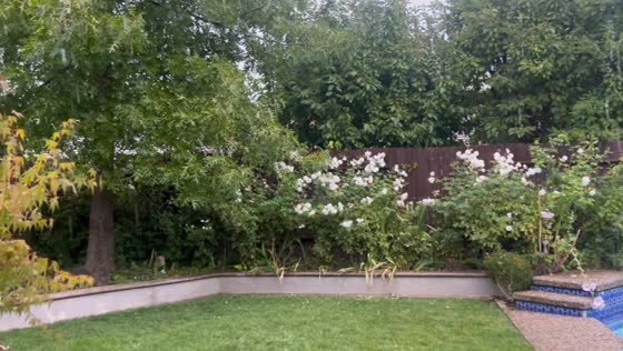Gentle rain drizzles, creating a calm and tranquil scene in El Segundo, California, USA