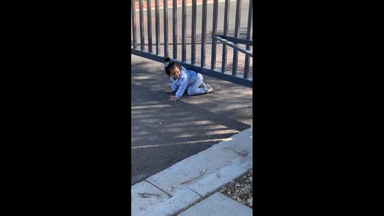 Twin daughters cleverly open gate from inside in Phoenix, Arizona, USA