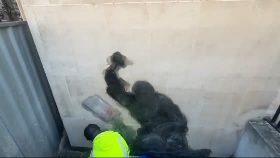 Banksy mural removed outside the Royal Court of Justice in London, UK