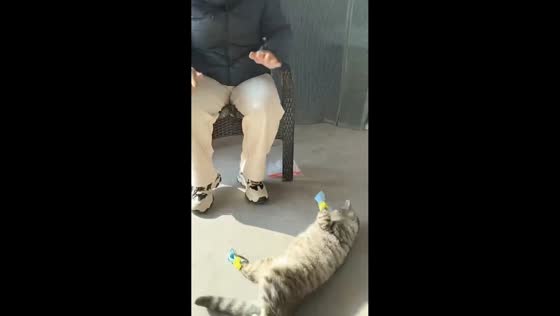 Cat struggles to walk with paw covers in Jiangsu, China
