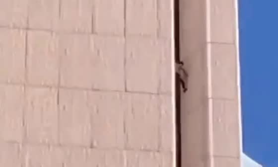 A daring free-climbing stunt captures attention in Phoenix