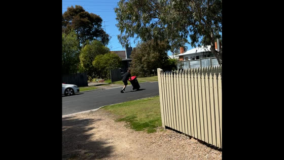 Man runs with trash bin to catch garbage collector in Victoria
