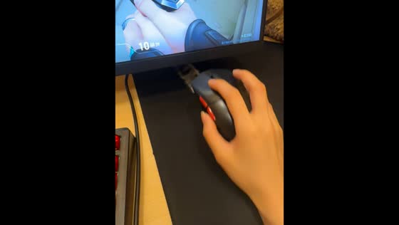 Playful cat tries to stop owner from playing video games in Zhejiang, China