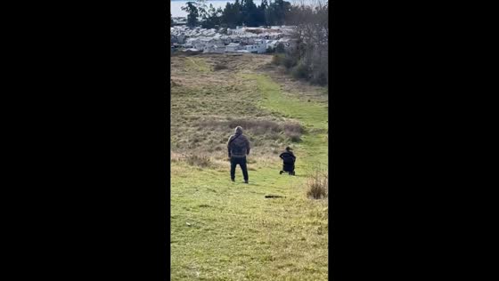 Stroller ride down hillside ends with tumble in Puerto Varas, Chile