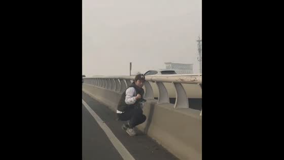 Kitten rescued from expressway barrier in Tianjin, China