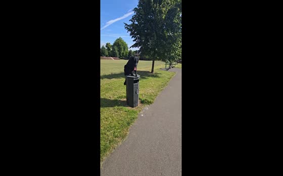 An amazing dog shows off tricks in Wolverhampton, United Kingdom