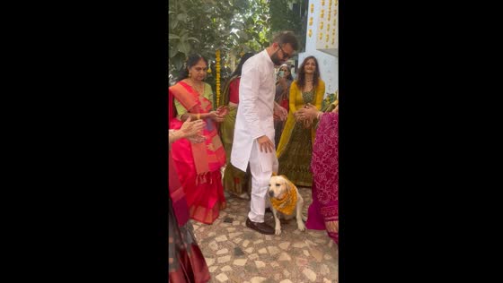 Garba celebrations: Keebo the Labrador joins the festivities in Vadodara