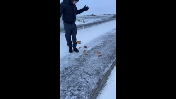 Friend drops pancakes while dancing in Selfoss, Iceland