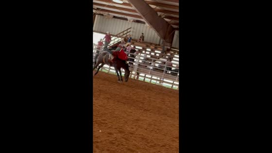 Rider falls from a horse after being thrown off during a rodeo in Wiggins, USA