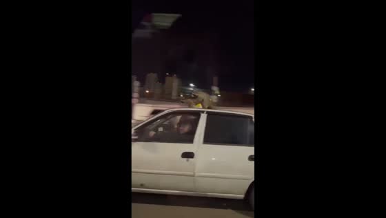 Raccoons mating on moving taxi roof in Sochi, Russia