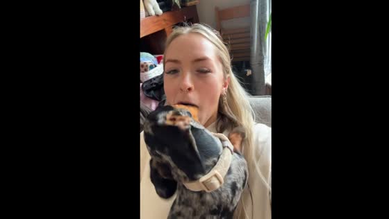 Dog silences owner’s singing with hilarious mouth shut move in Scotland