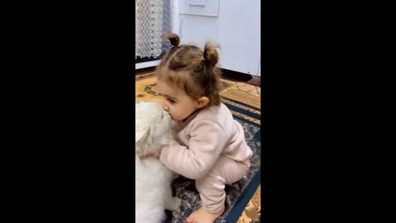 Adorable moment: child's sweet kiss to beloved cat captured in heartwarming video