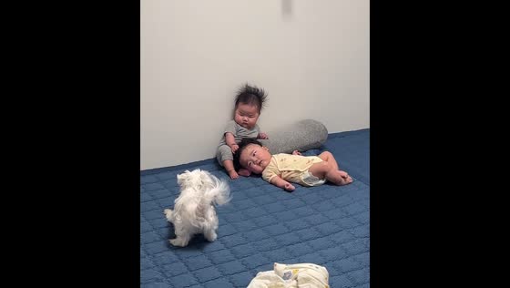 Puppy barks at chill twins in the corner in Seoul, South Korea
