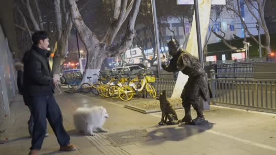 Samoyed dog startled by living statue in Shandong, China