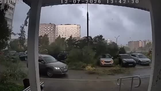 Tree crashes onto parked cars during storm in Sergiev Posad, Russia