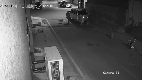 Man startled by woman behind van during nighttime dog walk in Hebei, China