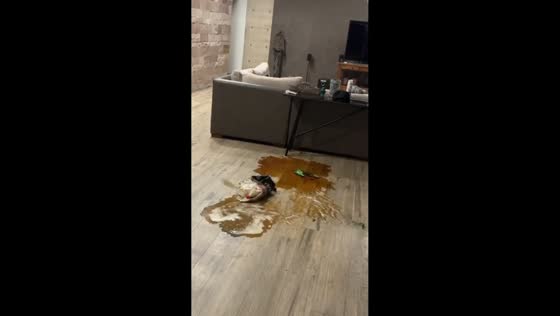 Fernet bottle accidentally spills in Buenos Aires, Argentina