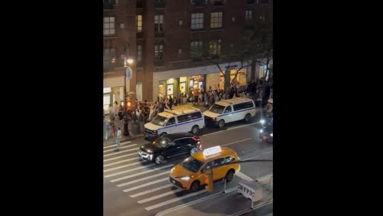 Crowd sings and marches at Lorde concert in New York