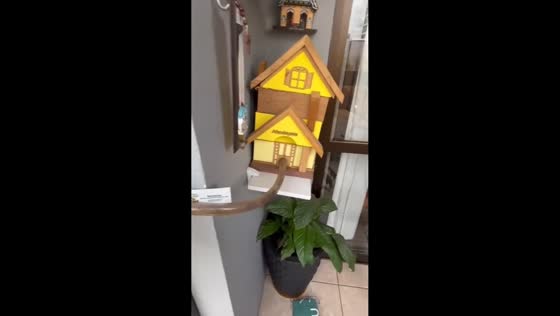 Bees adapt to apartment hive setup in Erechim, Rio Grande do Sul, Brazil