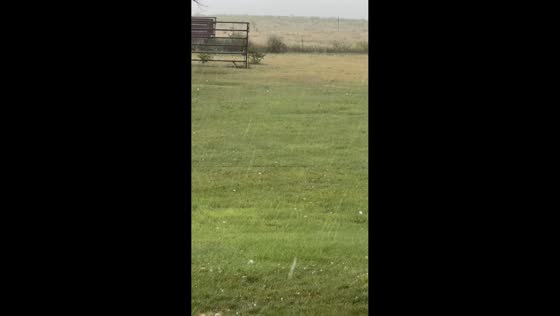 Hailstorm with hailstones covering the grass in Kansas, USA