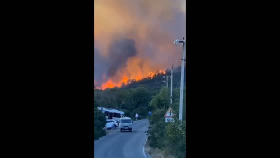 Massive forest fire engulfs Novorossiysk area