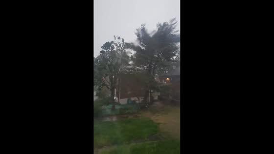 Severe wind and rain storm hits residential area in Boston, Massachusetts, USA