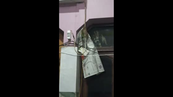 Mouse caught stealing newspaper in Vrindavan, Uttar Pradesh, India