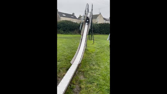 Rainy day fun: Staffordshire Bull Terrier slides and plays in the park