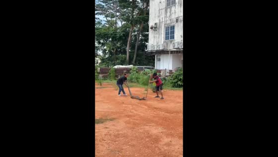 Residents safely capture large snake from muddy canal in Batam, Indonesia