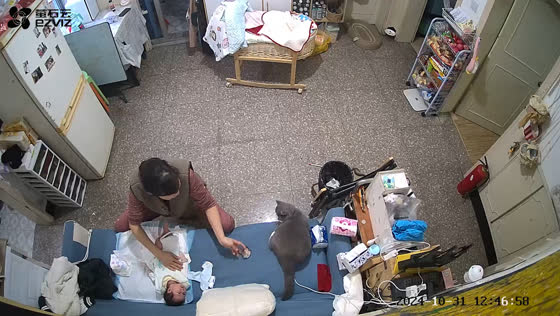 Cat brings brooch to grandmother while calming crying baby
