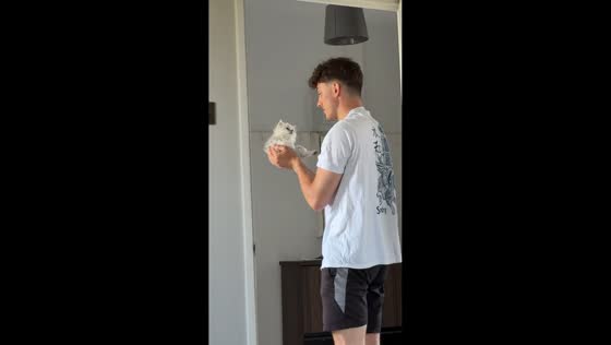 Man shares a sweet moment with Persian kitten in Gosport, England, UK