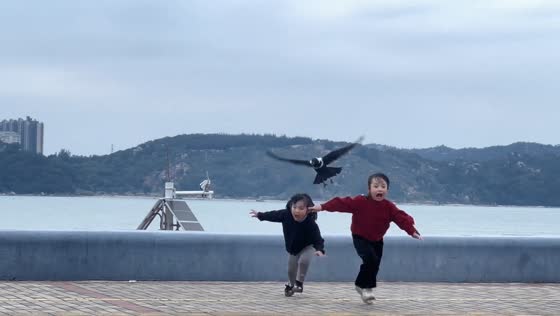 Crow chases two girls in Guangdong, China