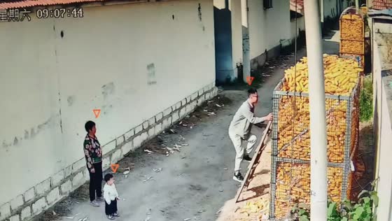 Man jumps away as a corn storage collapses while he climbs it in Shandong, China