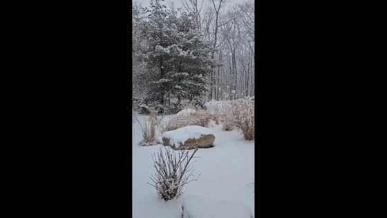 Heavy snowfall blankets wooded areas ahead of Christmas in New Jersey, USA