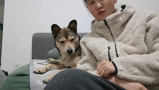 Dog reacts humorously to owner’s kiss in Hubei, China