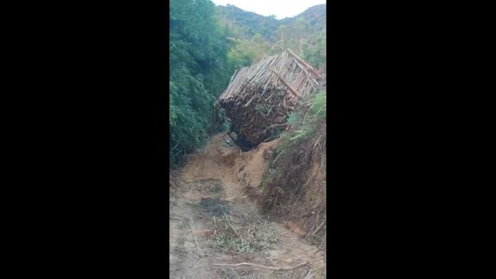 Overloaded truck overturns at logging site in Guangxi, China