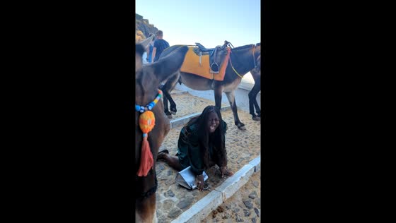 Traveler falls after donkey bumps into her in Santorini, Greece