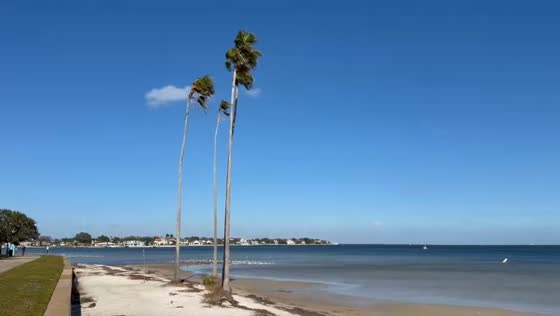 Windy conditions at Vinoy Park after cold front in St. Petersburg, Florida, USA