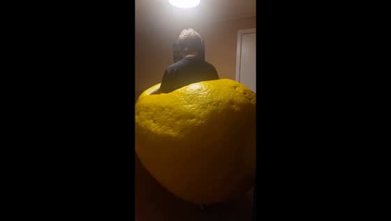 Man rides lemon-shaped toy car around inside a house in Omsk, Russia