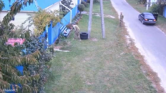 Soldiers gently rescue and return lost cat in Kyiv Oblast, Ukraine