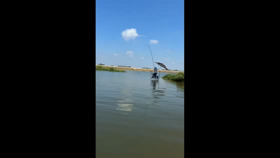 Older fisherman falls into lake after fishing rod snaps in Jiangxi, China