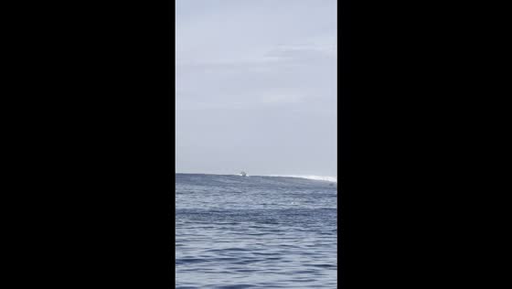 Boat surfing in San Diego, California, USA