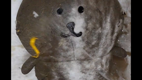 Dirty stuffed bear transformed into white toy after cleaning in Chengdu