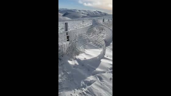 Rime ice forms striking patterns on snow fence in Skiddaw, England, UK