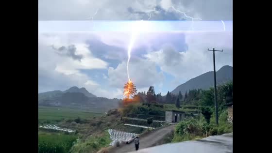 Lightning strikes tree during light rain in Fujian, China