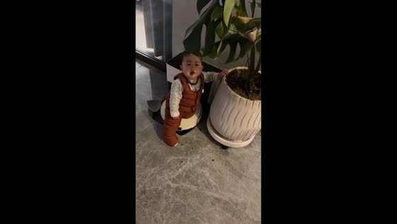 Toddler caught eating dirt from a flower pot in Anhui, China