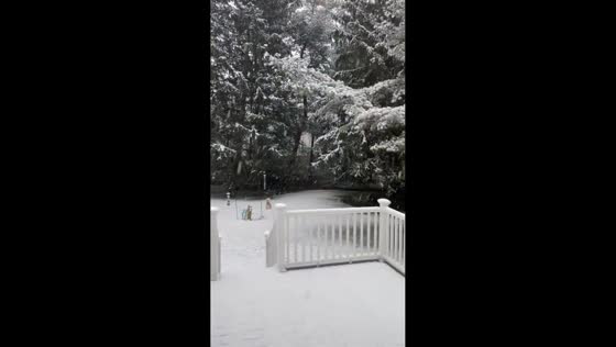 Heavy snowflakes fall across a quiet neighborhood in New Jersey, USA