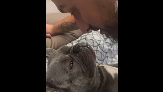 Sweet goodnight ritual with dog shared in Catania