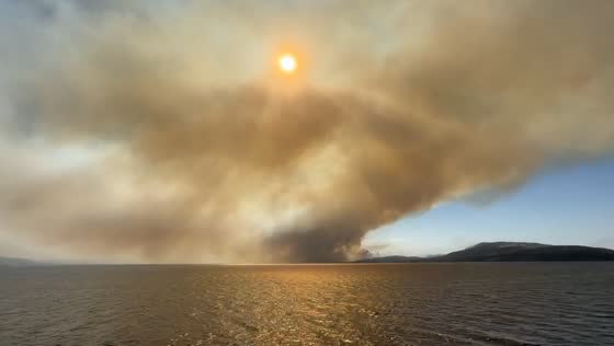 Devastating wildfire strikes near Volos, Greece