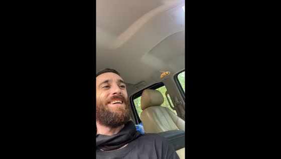 Hoover fly captured hovering inside car in Missouri